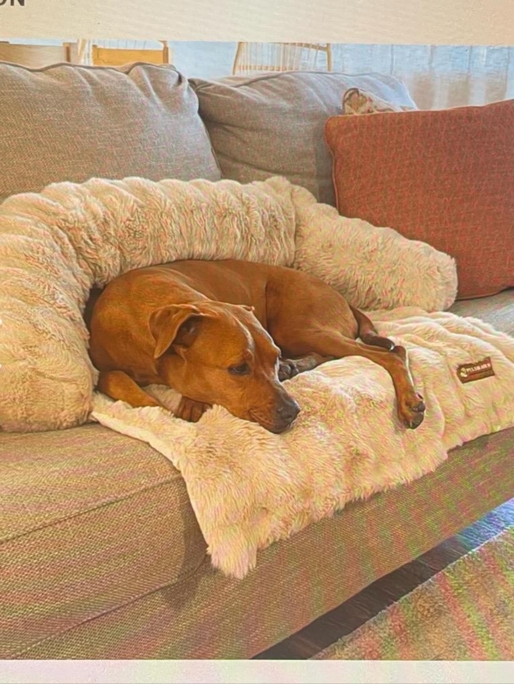 Pelsbarn Luxurios Sofa Dog Or Cat Bed - Cream Cozy Lounger